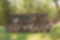 Runner Cross Country.jpg