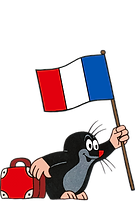 Molletje Vlag Frans!.png