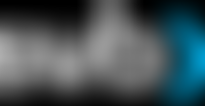 Silicon Valley Bank Collapse