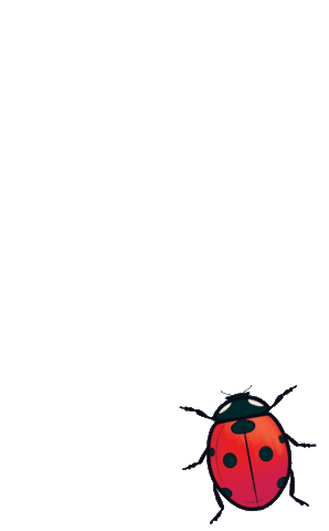 giphy.gif