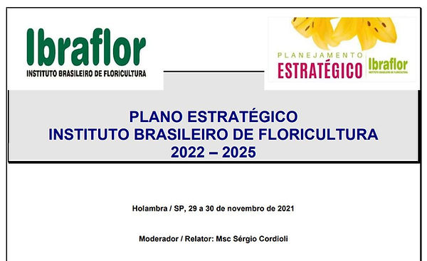 plan estra ibraflor.JPG