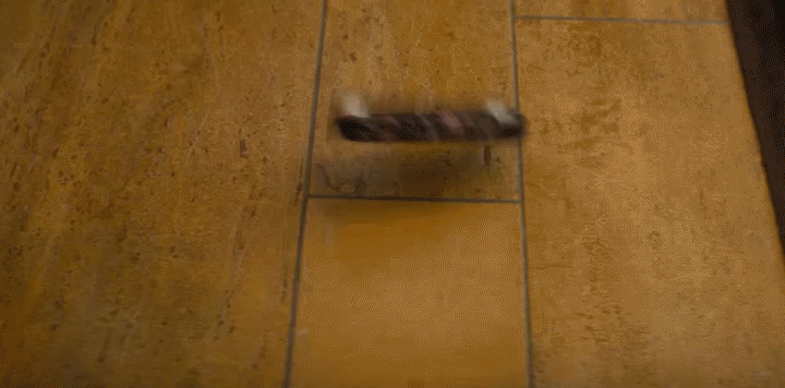 Chameleon-720p-v01.gif