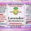 Thumbnail: Lavender Essential Oil