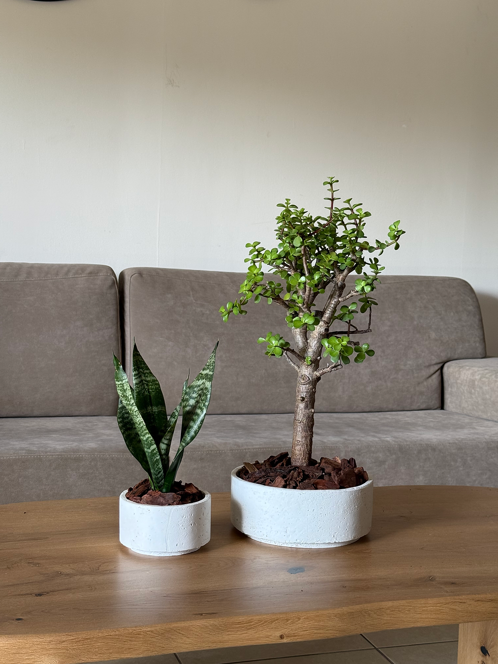 תמונה ממוזערת: סט זוג קערות דמוי טרוונטין, בעיצוב צמחייה לבחירתך 