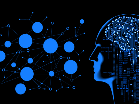 Unraveling the Brain-Education Connection: The Crucial Role of Neuroscientific Literacy in Education