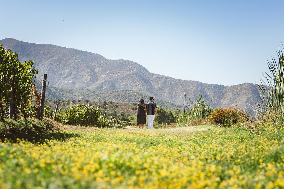 Engagement Chile-21.jpg
