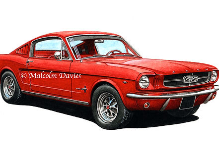 mustang finished 14.08.22 copyright version.jpg