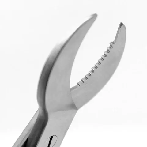 Miniatura: Crescent Coral cutter 19cm