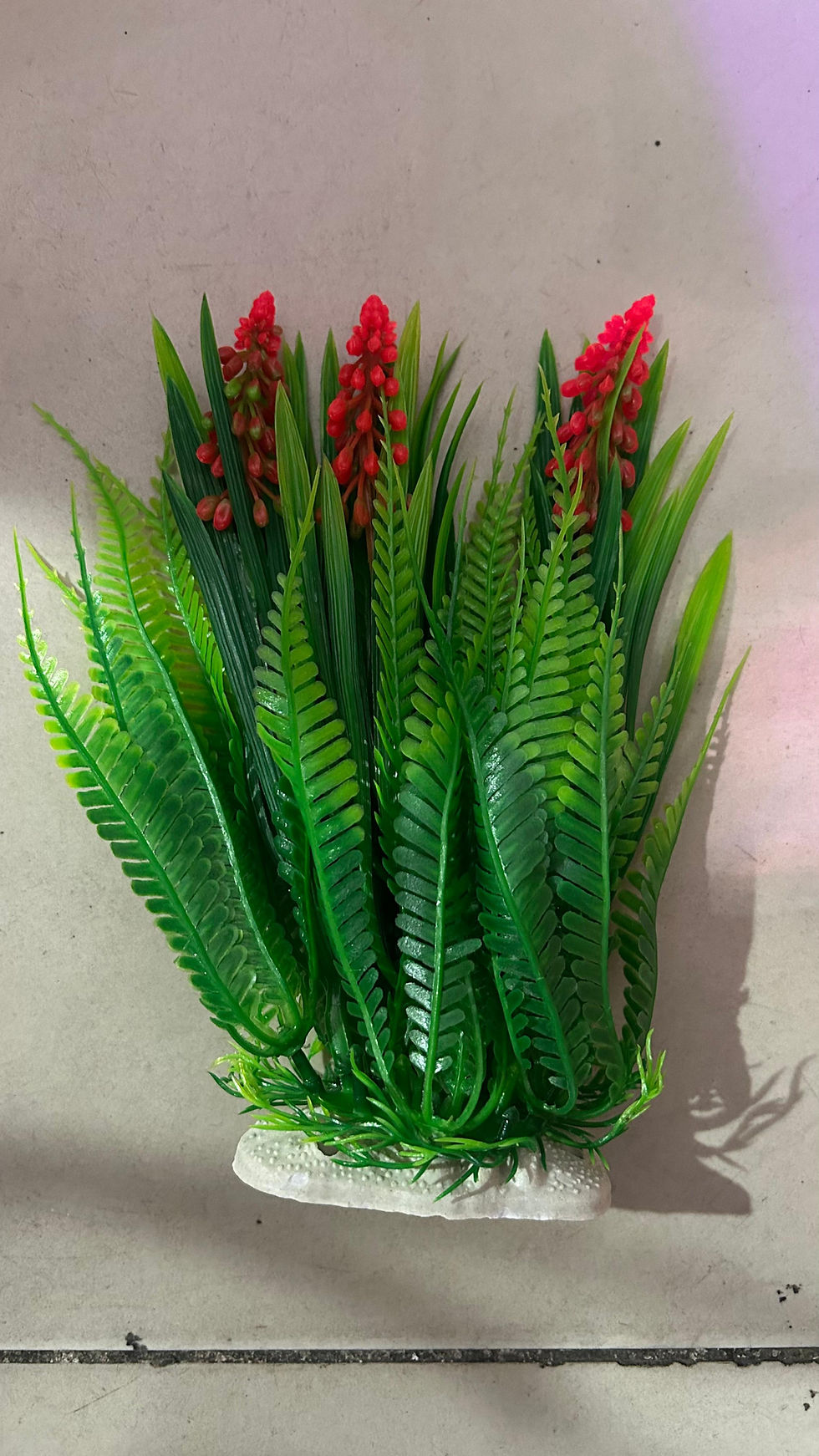 Miniatura: Plantas plasticas 4 diseños
