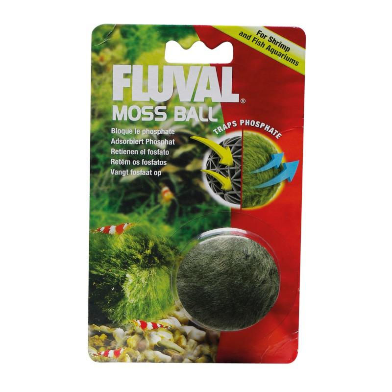Thumbnail: Moss ball