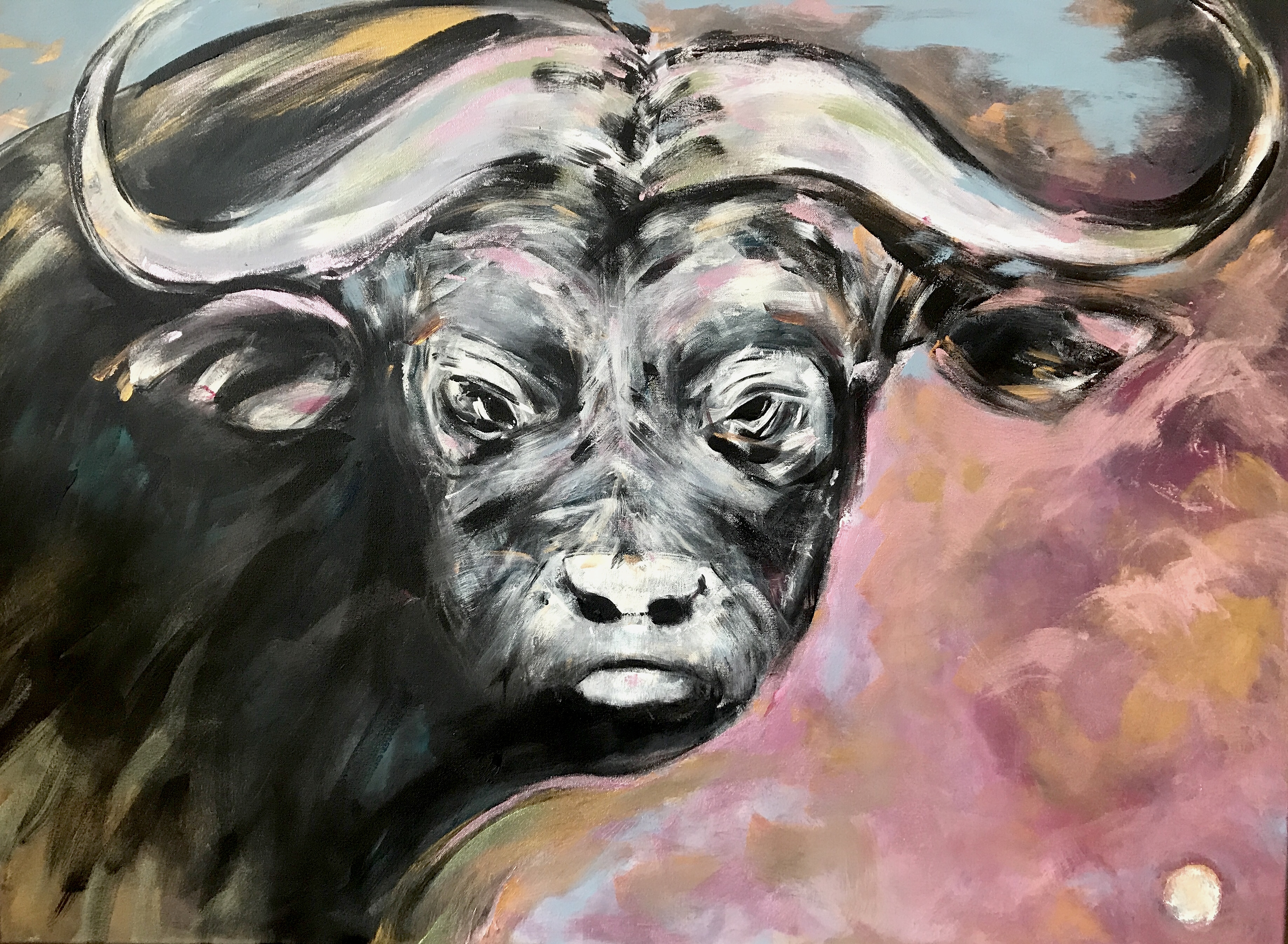 "Golden Buffalo"