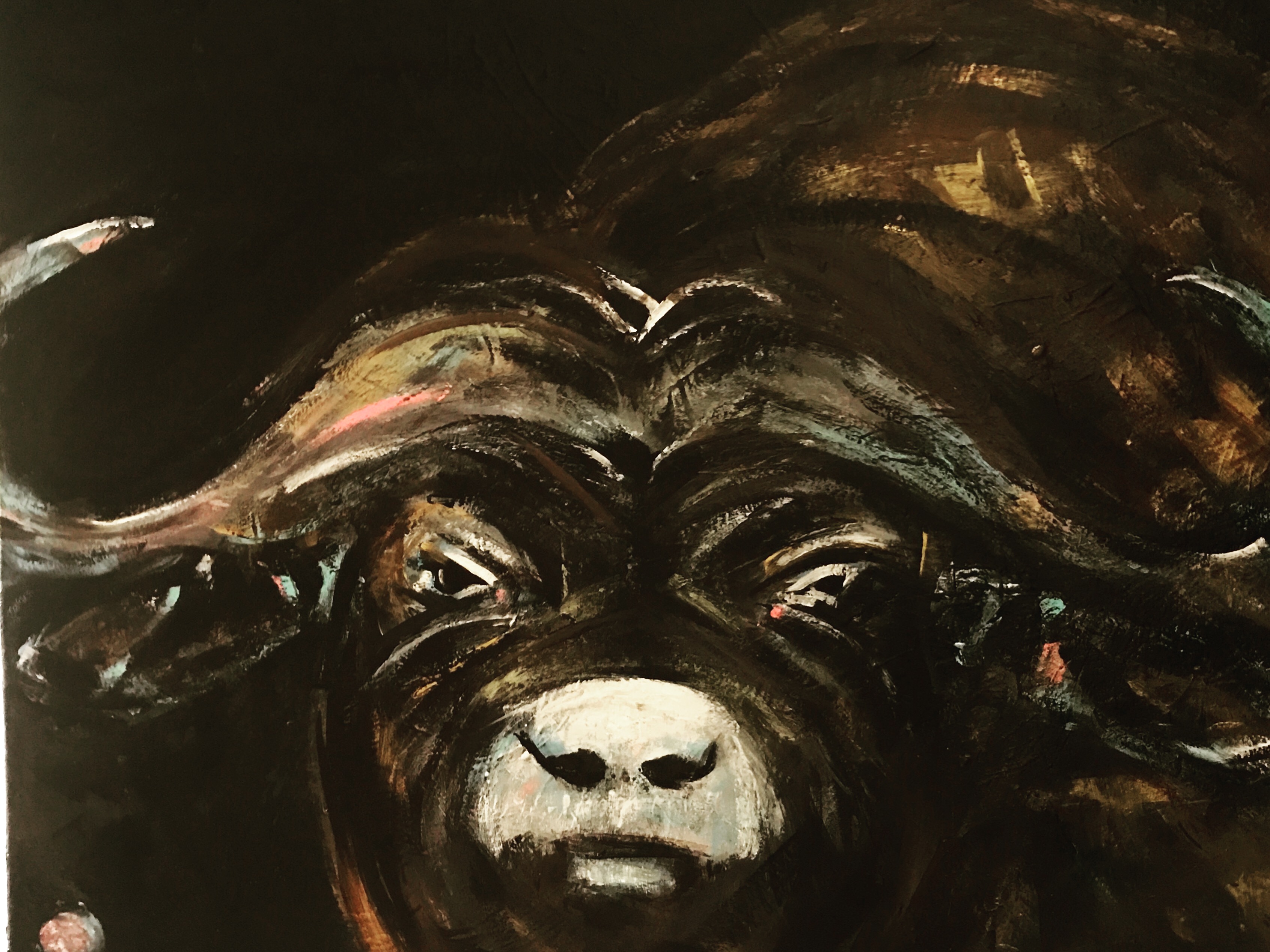 Black Buffalo
