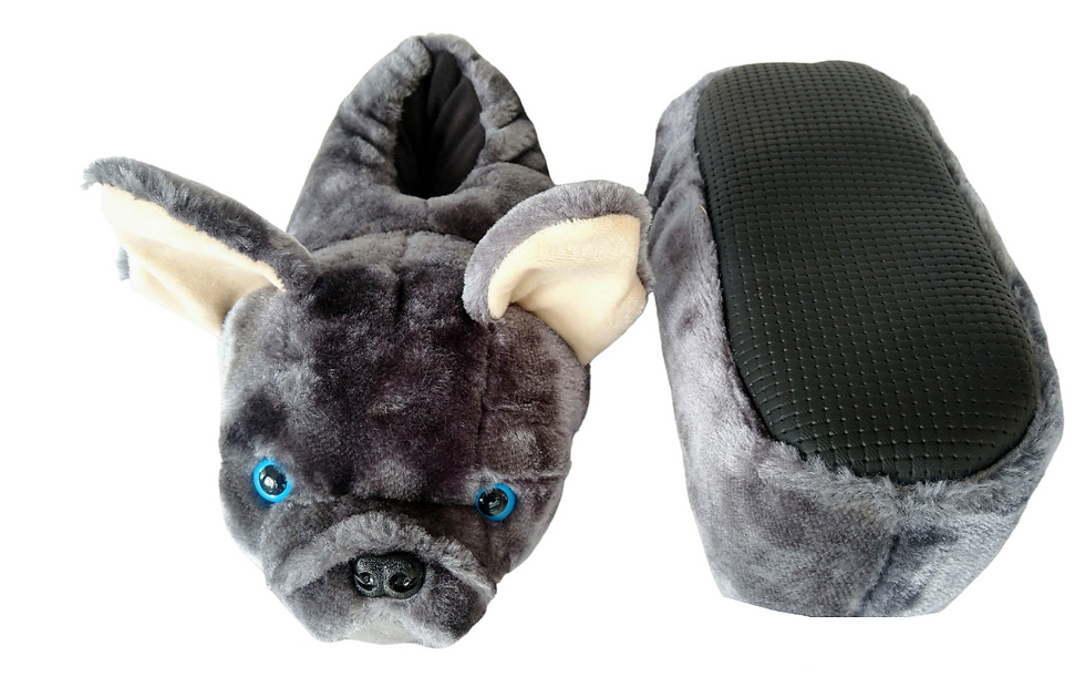 Thumbnail: Babuchas bulldog frances