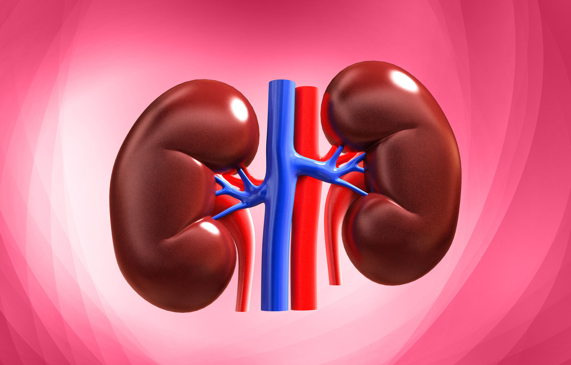 Kidney Function Test with Electrolytes