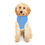 Thumbnail: Pet Hoodie - Indoor plumbing 