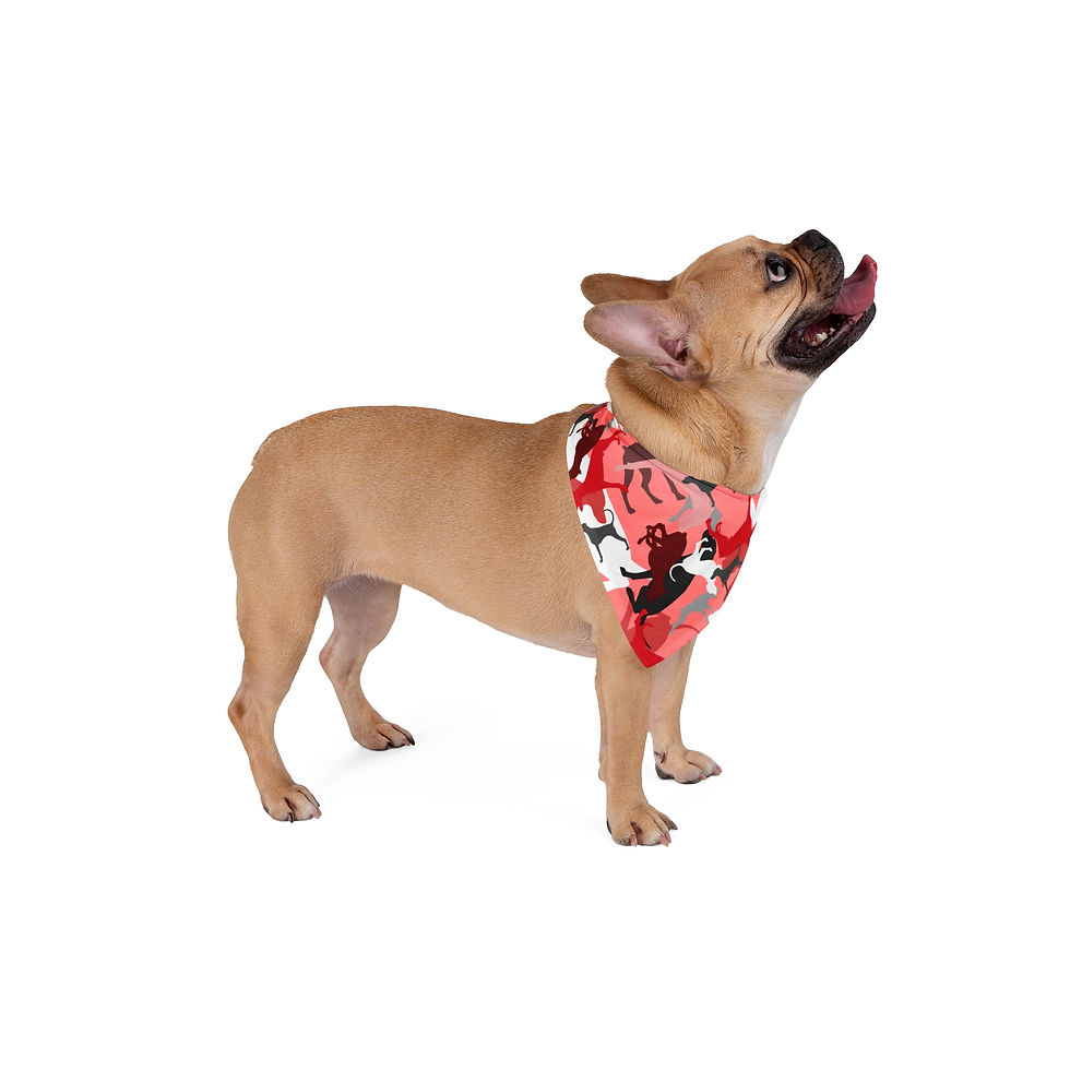 Thumbnail: Pink Doberflage Bandana