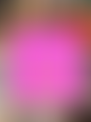 Your Furry Friends' Favorite Dog-friendly Patios in DFW