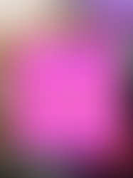 Tis the Season! Where To Get the Best Pics with Santa Claus in Dallas