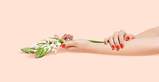 Flowers and Nails