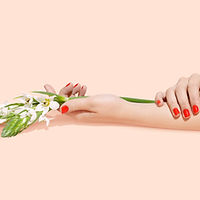 Flores y Uñas