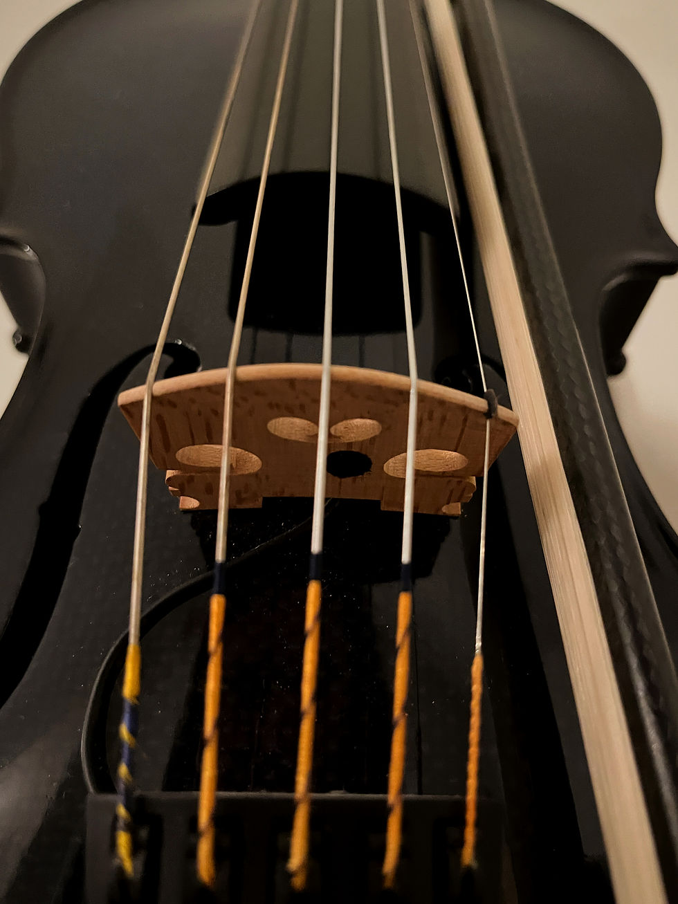 Violin - 5 string_edited.jpg