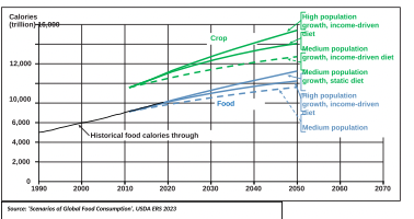 We’re All Risk Managers Now