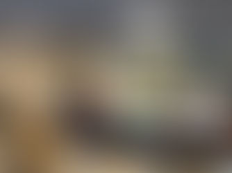 January 2026| Norwegian National Conference in Political Science