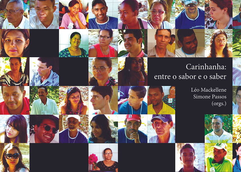 Capa do livro