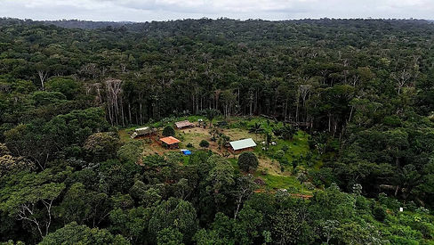 CPSF © Association Panakuh - Savoirs de la Forêt.jpg