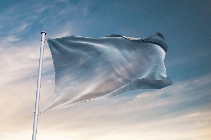 NullFlag1_edited.jpg