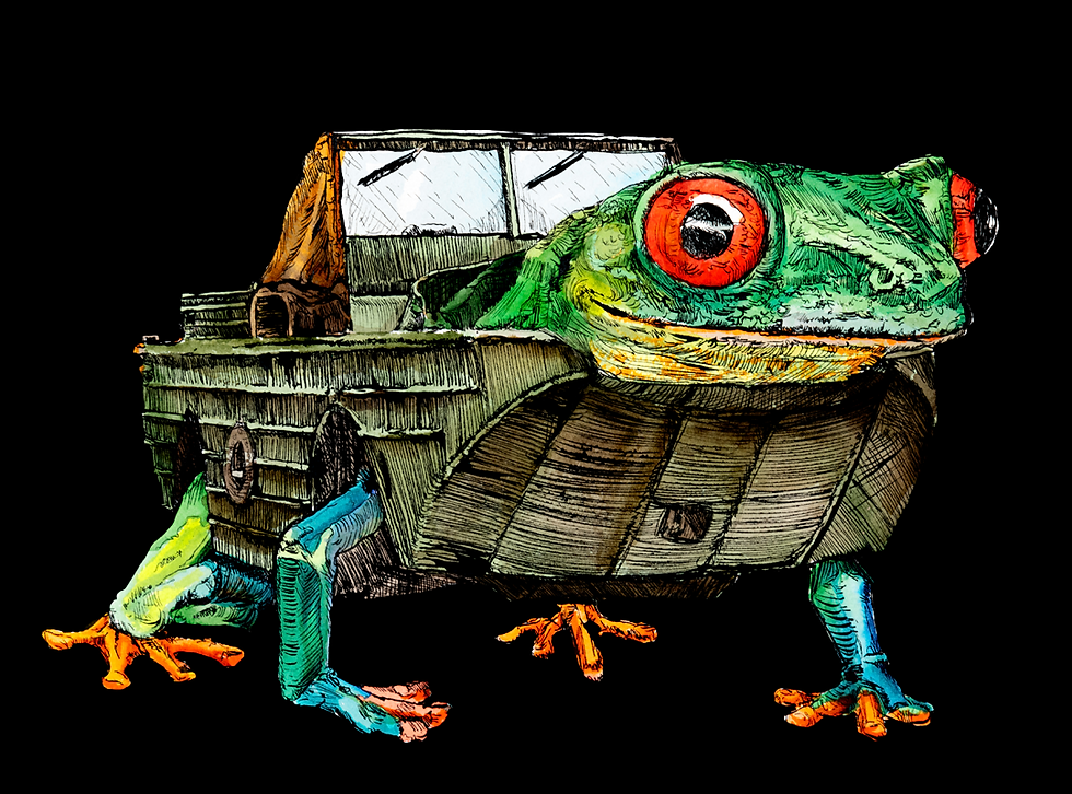 Amphibious Nature