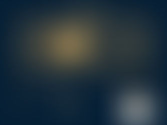 Happy Lunar New Year