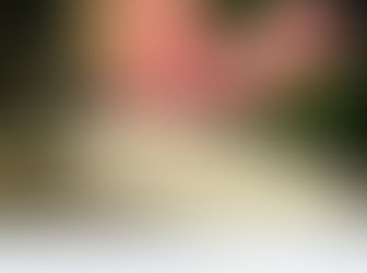 CCP Professor In The Media