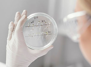 close-up-scientist-holding-petri-dish_23-2148918059.jpg