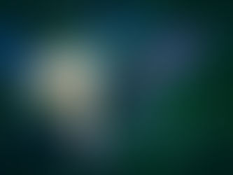 私たちが撮りたいのは