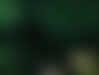 清々しい新緑に包み込まれて