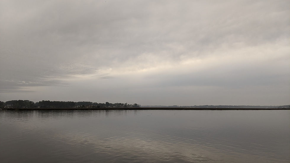 PXL_20210324_120807538.MP.jpg