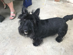 Burke - Richard Hall