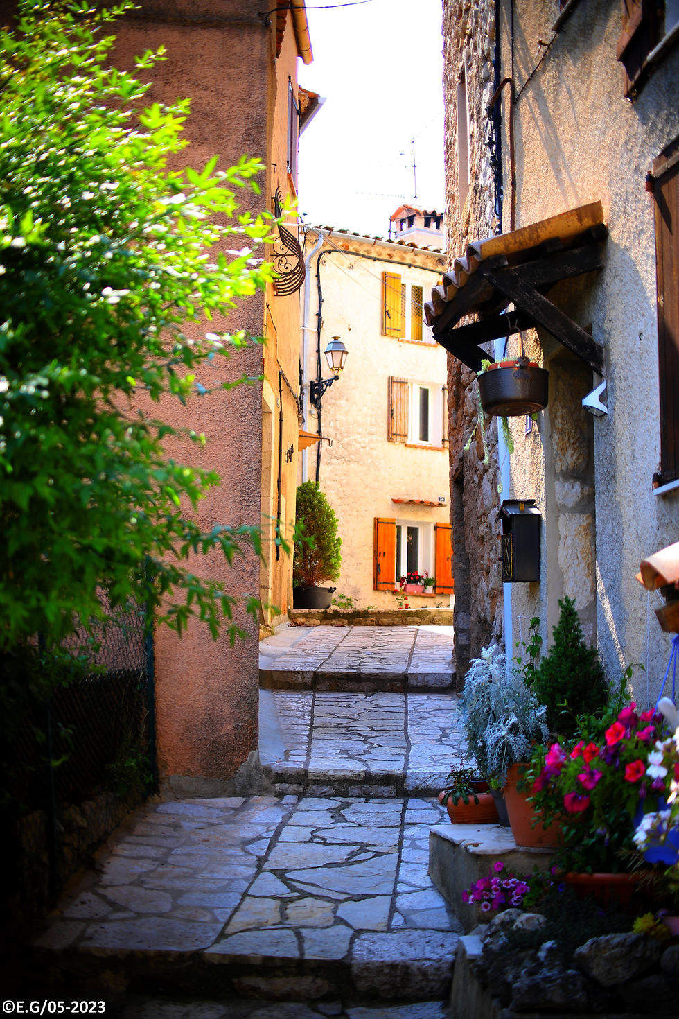 ruelle2
