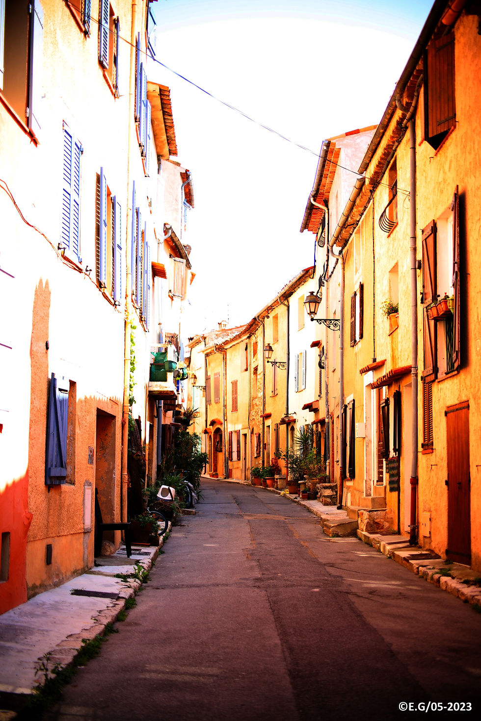 rue