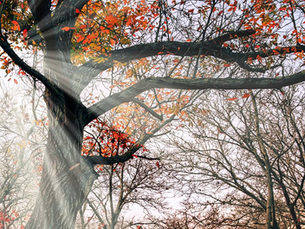 November 2025 Astrology Forecast