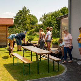 A-Wurf Welpentreffen 08.08.2020