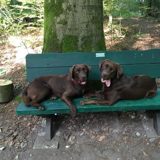 Paula und Milla (v.l.)