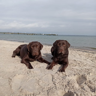 Ostsee