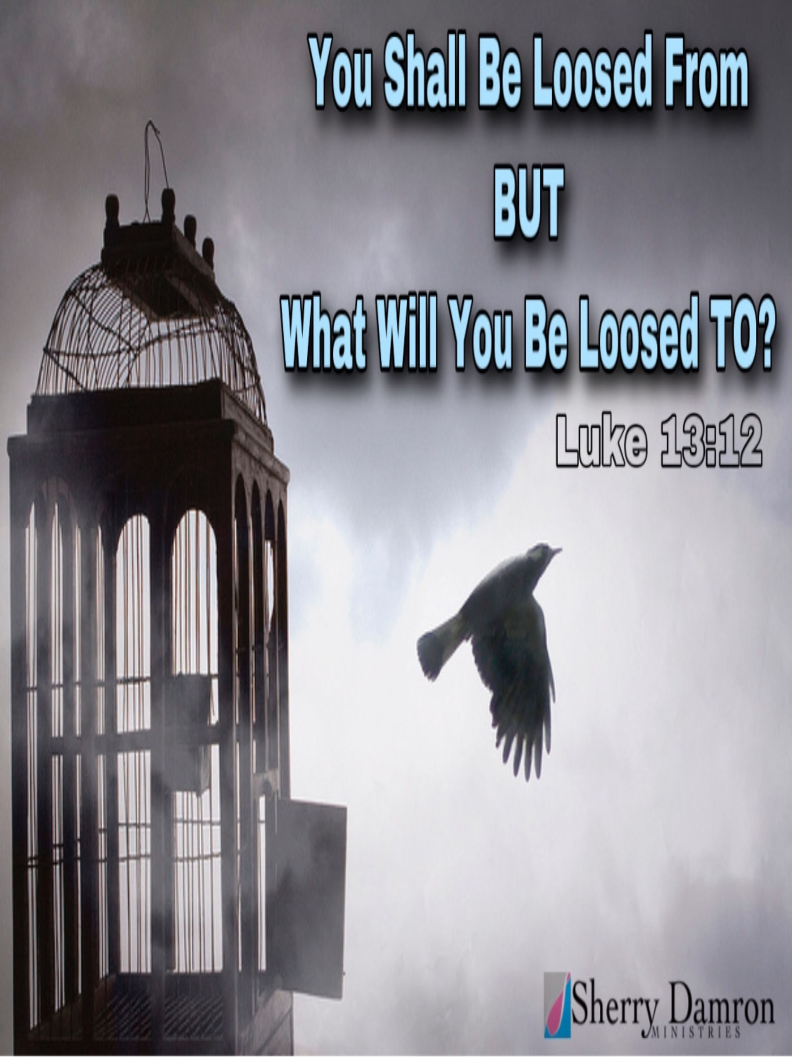 You Shall Be Loosed From But What Will You BeLoosed TO? (DVD)