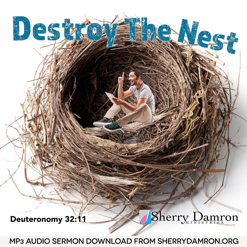 Destroy The Nest (MP3 SERMON DOWNLOAD)