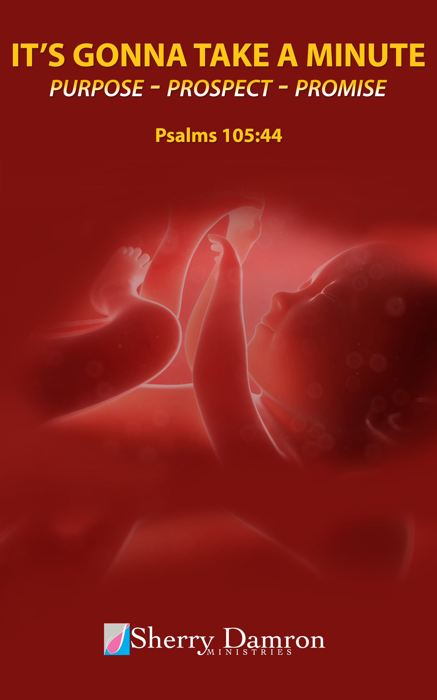 "It’s Gonna Take A Minute” (DVD)