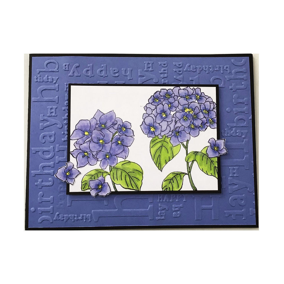 Hydrangea Birthday