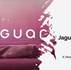 Jaguar Landrover rebrand backlash