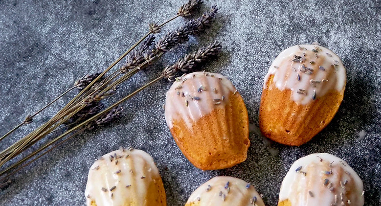 madeleines-fin.jpg
